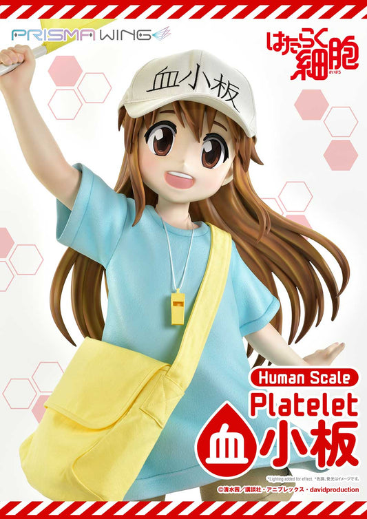 Life Scale Masterline: Cells At Work - Platelet