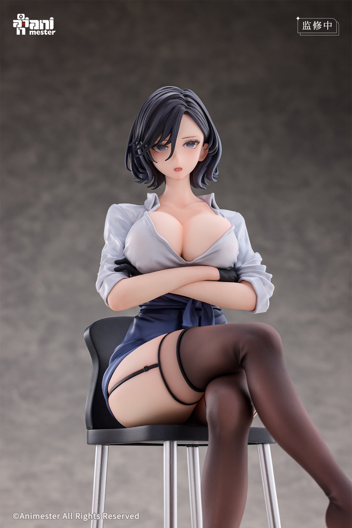 Animester - After-school Art Instruction - Rumi 1/6 Complete Figure