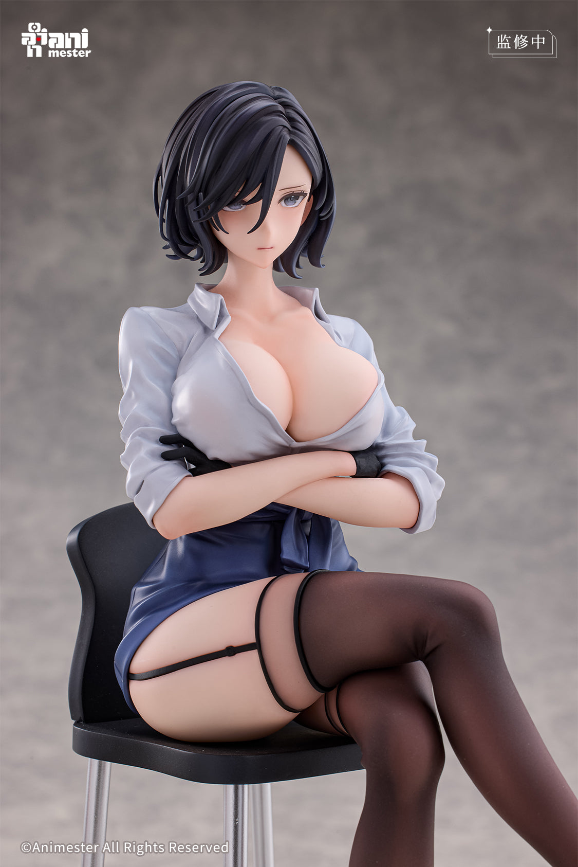Animester - After-school Art Instruction - Rumi 1/6 Complete Figure