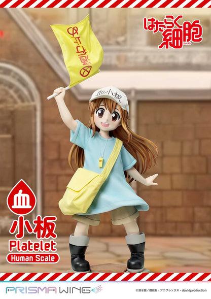 Life Scale Masterline: Cells At Work - Platelet