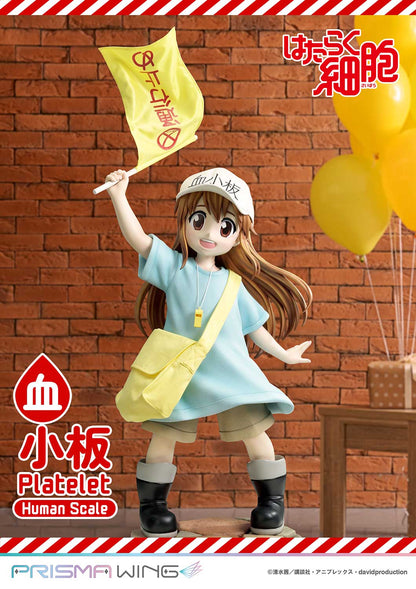 Life Scale Masterline: Cells At Work - Platelet