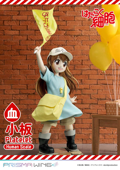 Life Scale Masterline: Cells At Work - Platelet