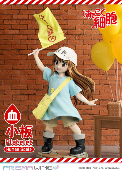 Life Scale Masterline: Cells At Work - Platelet