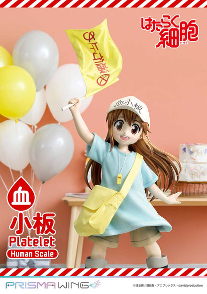 Life Scale Masterline: Cells At Work - Platelet