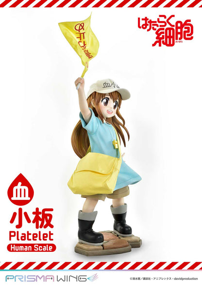 Life Scale Masterline: Cells At Work - Platelet