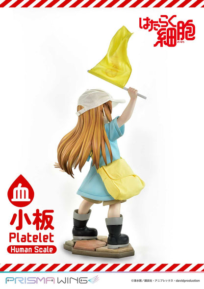 Life Scale Masterline: Cells At Work - Platelet