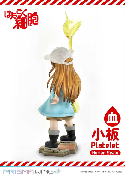 Life Scale Masterline: Cells At Work - Platelet