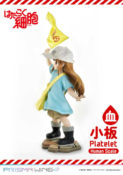 Life Scale Masterline: Cells At Work - Platelet