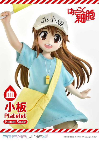 Life Scale Masterline: Cells At Work - Platelet