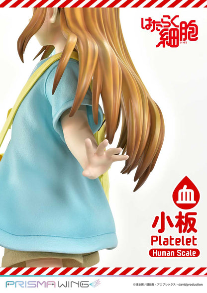 Life Scale Masterline: Cells At Work - Platelet