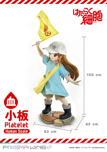 Life Scale Masterline: Cells At Work - Platelet