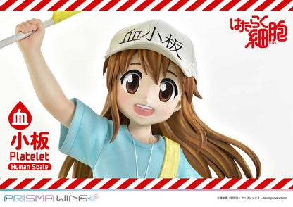 Life Scale Masterline: Cells At Work - Platelet