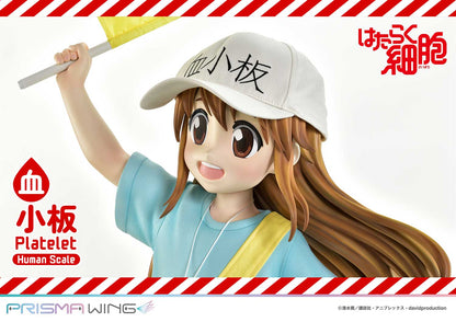 Life Scale Masterline: Cells At Work - Platelet