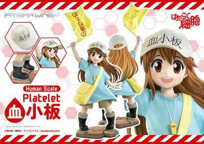 Life Scale Masterline: Cells At Work - Platelet