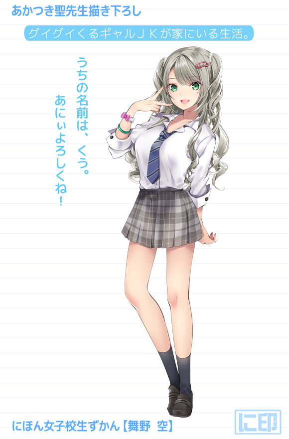 Nihon Jyoshikousei Zukan Hiziri Akatsuki Original Illustration Maino Kuu Dakimakura Cover Lyctoron Rich Edition