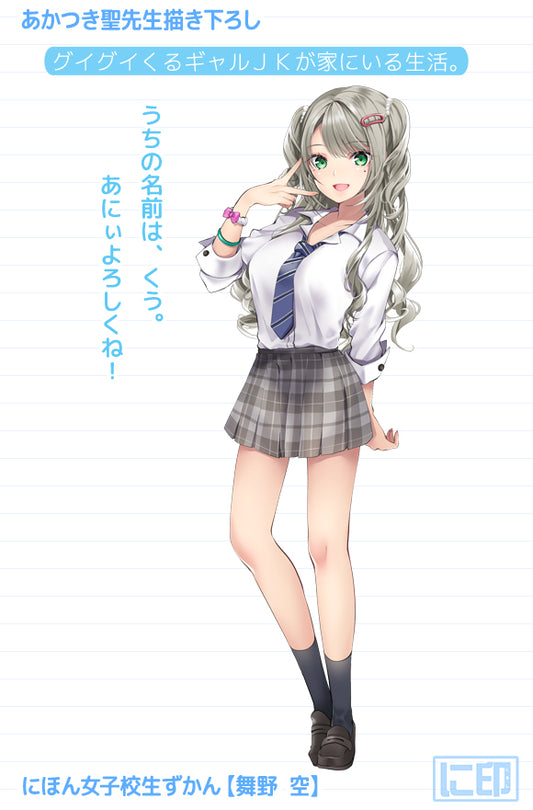Nihon Jyoshikousei Zukan Hiziri Akatsuki Original Illustration Maino Kuu Dakimakura Cover Lyctoron Rich Edition
