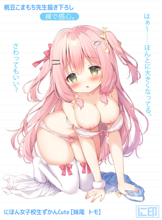 Nihon Jyoshikousei Zukan Cute Komamochi Momozu Original Illustration Senoo Tomo Dakimakura Cover Fetish Ver. Lyctoron Rich Edition