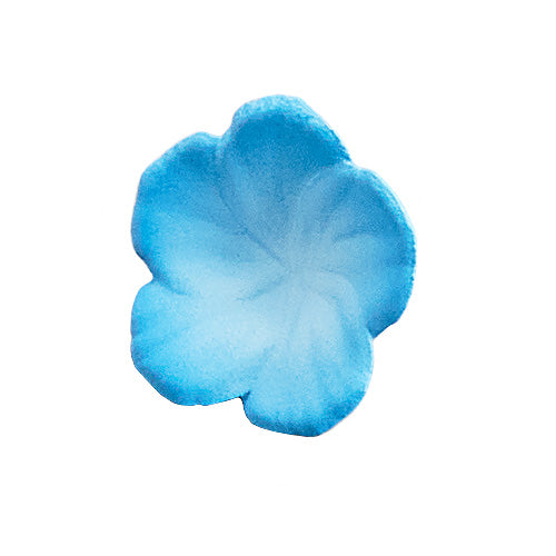 Kadokawa Collection Isekaijoucho Universal Body Nemophila - Image 7