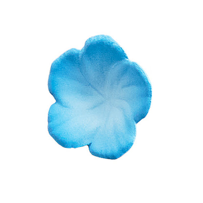 Kadokawa Collection Isekaijoucho Universal Body Nemophila - Image 7