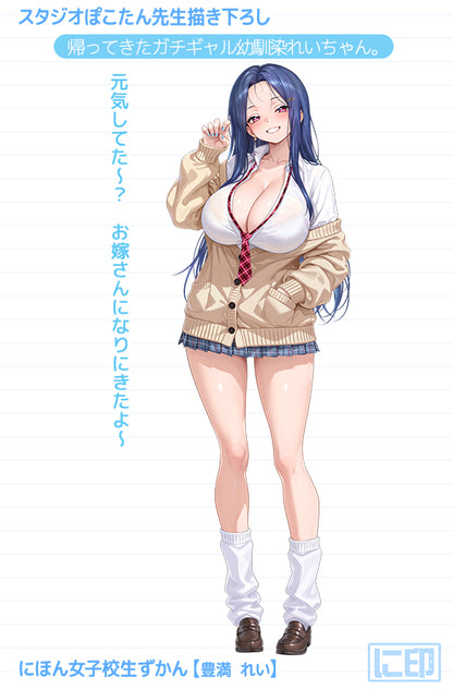 Nihon Jyoshikousei Zukan Studiopokotan Original Illustration Toyomitsu Rei Dakimakura Cover - Image 3